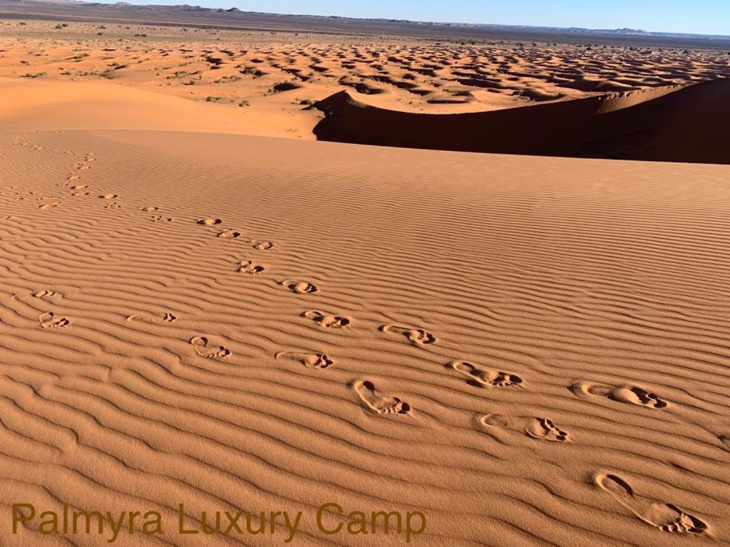 Готель Palmyra Luxury Camp Мерзуга Екстер'єр фото