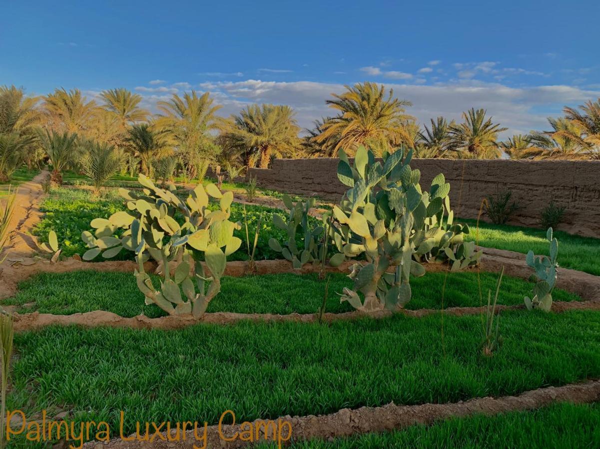 Готель Palmyra Luxury Camp Мерзуга Екстер'єр фото